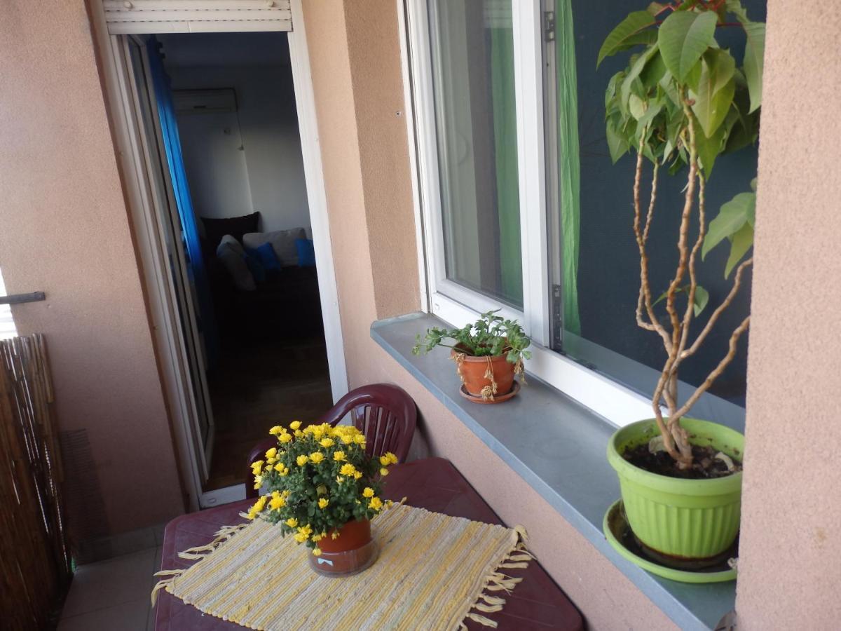 Apartment Erika 2 Novi Sad Luaran gambar